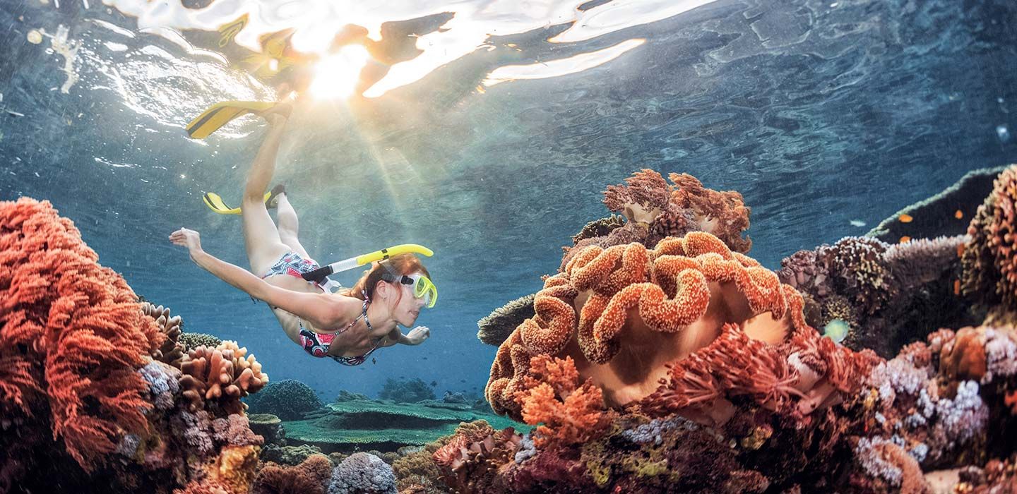 The Fascinating Red Sea in Egypt